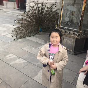 张帼芝资料,张帼芝最新歌曲,张帼芝MV视频,张帼芝音乐专辑,张帼芝好听的歌