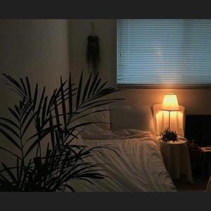 原来是歪资料,原来是歪最新歌曲,原来是歪MV视频,原来是歪音乐专辑,原来是歪好听的歌