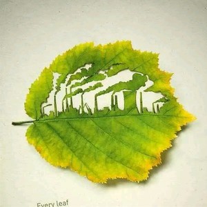 多多的小世界资料,多多的小世界最新歌曲,多多的小世界MV视频,多多的小世界音乐专辑,多多的小世界好听的歌