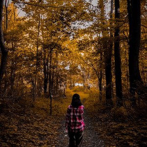 Elvie资料,Elvie最新歌曲,ElvieMV视频,Elvie音乐专辑,Elvie好听的歌