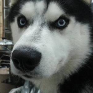 梁宣城资料,梁宣城最新歌曲,梁宣城MV视频,梁宣城音乐专辑,梁宣城好听的歌