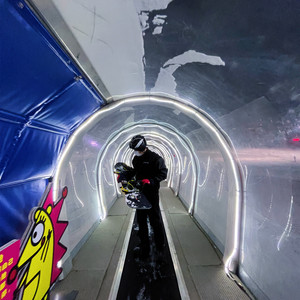 懿晨Echoon资料,懿晨Echoon最新歌曲,懿晨EchoonMV视频,懿晨Echoon音乐专辑,懿晨Echoon好听的歌