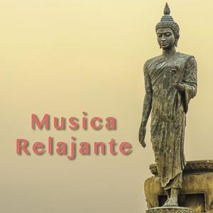 Yoga del Mar资料,Yoga del Mar最新歌曲,Yoga del MarMV视频,Yoga del Mar音乐专辑,Yoga del Mar好听的歌