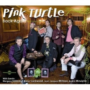 Pink Turtle