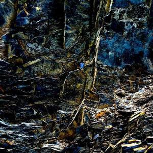 蚊子资料,蚊子最新歌曲,蚊子MV视频,蚊子音乐专辑,蚊子好听的歌