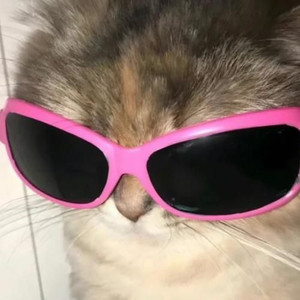 -不知名鸡头资料,-不知名鸡头最新歌曲,-不知名鸡头MV视频,-不知名鸡头音乐专辑,-不知名鸡头好听的歌