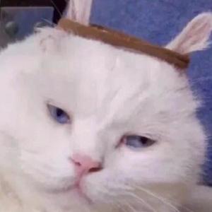 Cookie资料,Cookie最新歌曲,CookieMV视频,Cookie音乐专辑,Cookie好听的歌