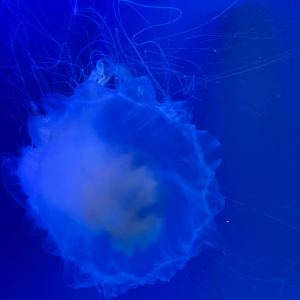 哆唻咪资料,哆唻咪最新歌曲,哆唻咪MV视频,哆唻咪音乐专辑,哆唻咪好听的歌