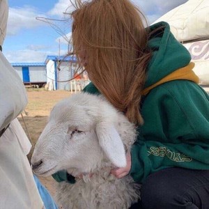 王子健资料,王子健最新歌曲,王子健MV视频,王子健音乐专辑,王子健好听的歌