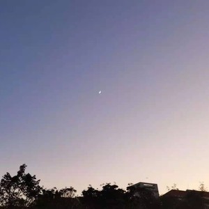 XFall资料,XFall最新歌曲,XFallMV视频,XFall音乐专辑,XFall好听的歌