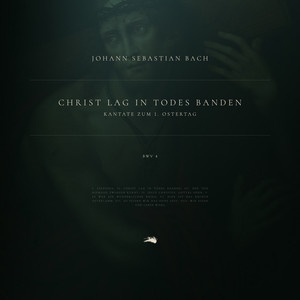 Classical Archive Stereo Arts资料,Classical Archive Stereo Arts最新歌曲,Classical Archive Stereo ArtsMV视频,Classical Archive Stereo Arts音乐专辑,Classical Archive Stereo Arts好听的歌