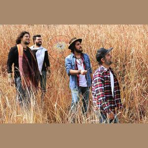 Suricato资料,Suricato最新歌曲,SuricatoMV视频,Suricato音乐专辑,Suricato好听的歌