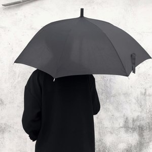 等风来资料,等风来最新歌曲,等风来MV视频,等风来音乐专辑,等风来好听的歌