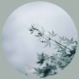 Φ² (Single Version)