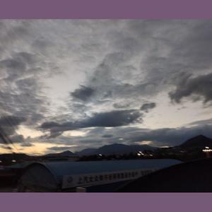 多情种 (Demo)