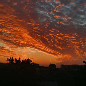 陈berber资料,陈berber最新歌曲,陈berberMV视频,陈berber音乐专辑,陈berber好听的歌