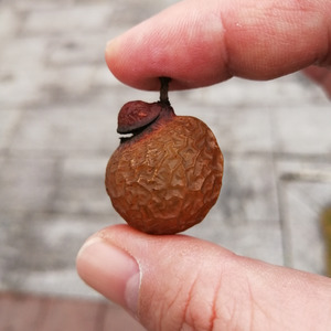 一颗栗子儿资料,一颗栗子儿最新歌曲,一颗栗子儿MV视频,一颗栗子儿音乐专辑,一颗栗子儿好听的歌