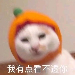 瓜了个子资料,瓜了个子最新歌曲,瓜了个子MV视频,瓜了个子音乐专辑,瓜了个子好听的歌