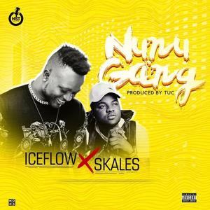 Iceflow资料,Iceflow最新歌曲,IceflowMV视频,Iceflow音乐专辑,Iceflow好听的歌