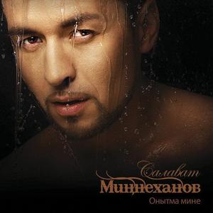 Салават Миннеханов