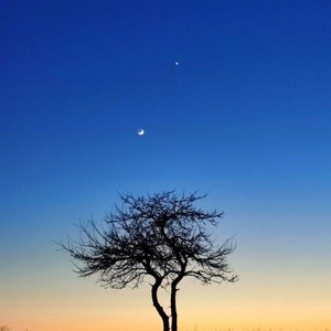 林锐杰资料,林锐杰最新歌曲,林锐杰MV视频,林锐杰音乐专辑,林锐杰好听的歌