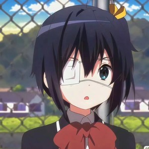 敏感 (Sensitive-PM)