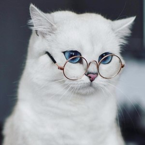 汤姆资料,汤姆最新歌曲,汤姆MV视频,汤姆音乐专辑,汤姆好听的歌