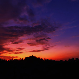 Juy资料,Juy最新歌曲,JuyMV视频,Juy音乐专辑,Juy好听的歌