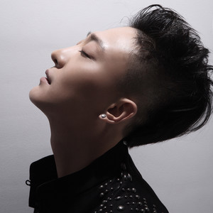 王挺资料,王挺最新歌曲,王挺MV视频,王挺音乐专辑,王挺好听的歌