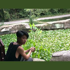 杨寒云资料,杨寒云最新歌曲,杨寒云MV视频,杨寒云音乐专辑,杨寒云好听的歌