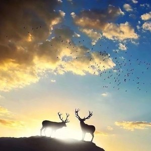 张郎资料,张郎最新歌曲,张郎MV视频,张郎音乐专辑,张郎好听的歌