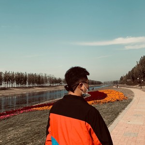 陈小姐的话