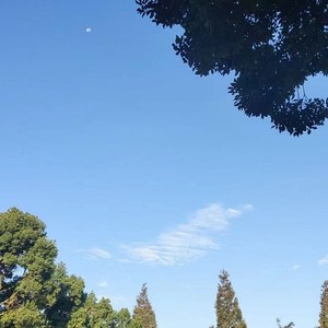 陪你在春秋冬夏