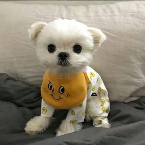 李若愚资料,李若愚最新歌曲,李若愚MV视频,李若愚音乐专辑,李若愚好听的歌