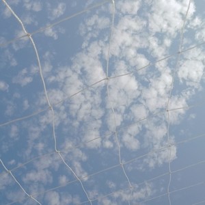 譩苏Yisu资料,譩苏Yisu最新歌曲,譩苏YisuMV视频,譩苏Yisu音乐专辑,譩苏Yisu好听的歌