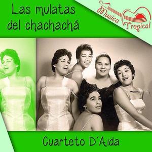 Cuarteto D'Aida资料,Cuarteto D'Aida最新歌曲,Cuarteto D'AidaMV视频,Cuarteto D'Aida音乐专辑,Cuarteto D'Aida好听的歌