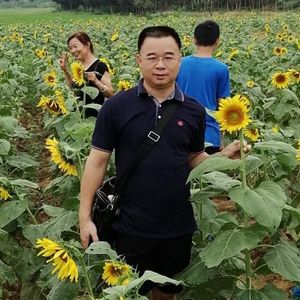 曲育乐资料,曲育乐最新歌曲,曲育乐MV视频,曲育乐音乐专辑,曲育乐好听的歌