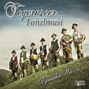 Tegernseer Tanzlmusi资料,Tegernseer Tanzlmusi最新歌曲,Tegernseer TanzlmusiMV视频,Tegernseer Tanzlmusi音乐专辑,Tegernseer Tanzlmusi好听的歌