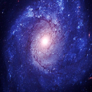 岳亮资料,岳亮最新歌曲,岳亮MV视频,岳亮音乐专辑,岳亮好听的歌