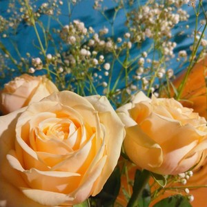 流浪少女资料,流浪少女最新歌曲,流浪少女MV视频,流浪少女音乐专辑,流浪少女好听的歌