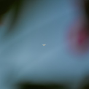 Rufino Masi资料,Rufino Masi最新歌曲,Rufino MasiMV视频,Rufino Masi音乐专辑,Rufino Masi好听的歌