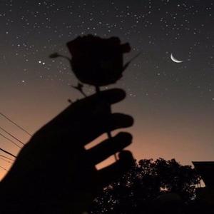 B2C资料,B2C最新歌曲,B2CMV视频,B2C音乐专辑,B2C好听的歌