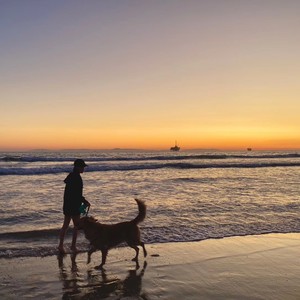 KkBeaR资料,KkBeaR最新歌曲,KkBeaRMV视频,KkBeaR音乐专辑,KkBeaR好听的歌