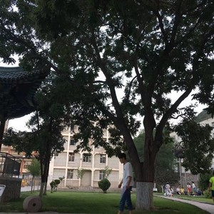 吴永平资料,吴永平最新歌曲,吴永平MV视频,吴永平音乐专辑,吴永平好听的歌