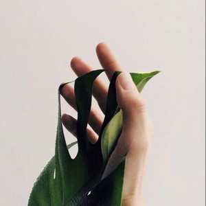 Aurora.Li资料,Aurora.Li最新歌曲,Aurora.LiMV视频,Aurora.Li音乐专辑,Aurora.Li好听的歌
