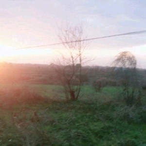 友友资料,友友最新歌曲,友友MV视频,友友音乐专辑,友友好听的歌