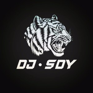 DJSdy