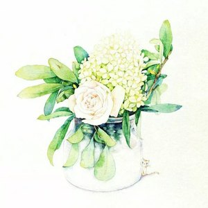 -清浅薄荷-资料,-清浅薄荷-最新歌曲,-清浅薄荷-MV视频,-清浅薄荷-音乐专辑,-清浅薄荷-好听的歌