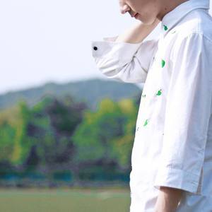 我努力长成一棵木棉,你却爱上了凌霄花 (纯歌版)