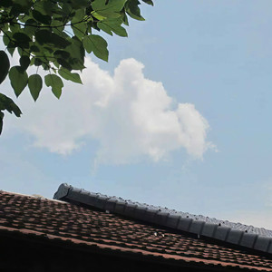 只为你心跳不停 (DJ 玄戈版)